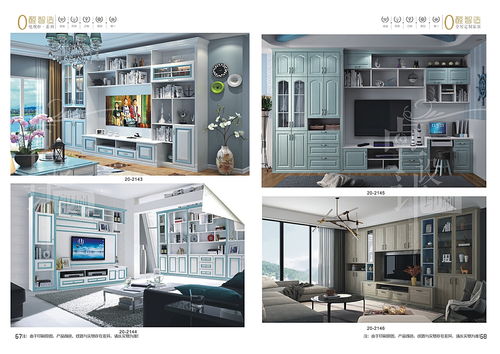 郑州整体衣柜橱柜画册印刷与板式家具彩页制作通版图册 家用视听设备的完美融合